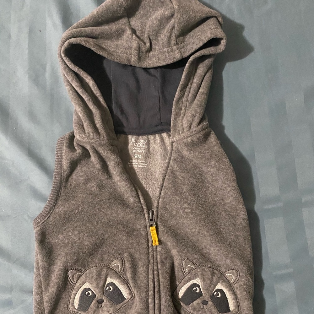 Raccoon Hooded Vest